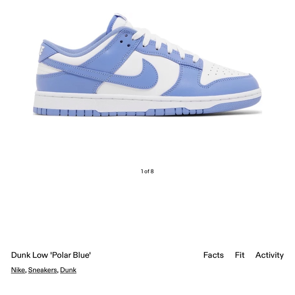 Nike Dunks-Polar Blue